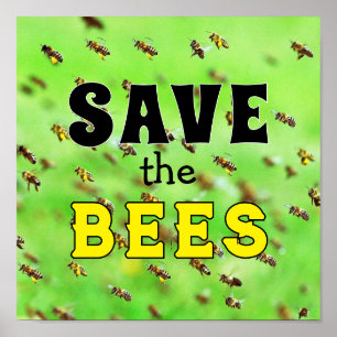 Save the Bees Poster