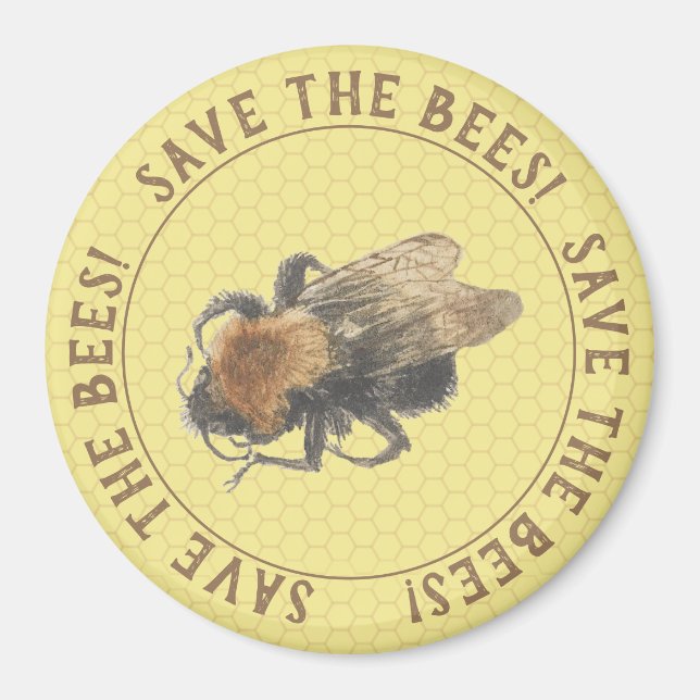 Save the Bees |  Vintage Honeybee & Honeycomb Magnet (Front)