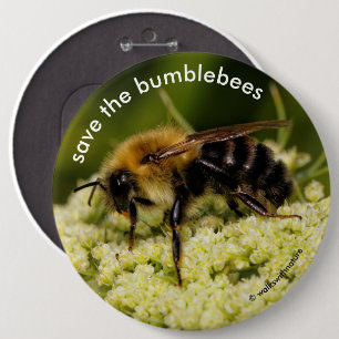 Save the Bumblebees Pollinating Flowering Carrot 6 Inch Round Button