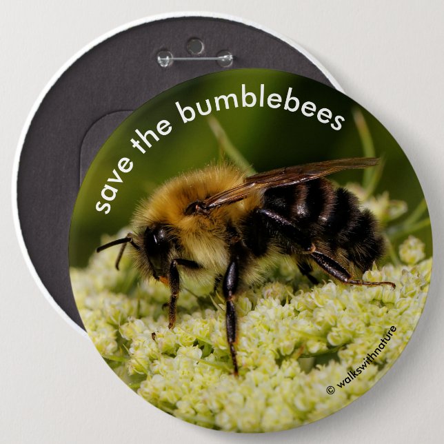 Save the Bumblebees Pollinating Flowering Carrot 6 Inch Round Button (Front & Back)
