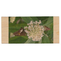 Save the Butterflies USB Flash Drive