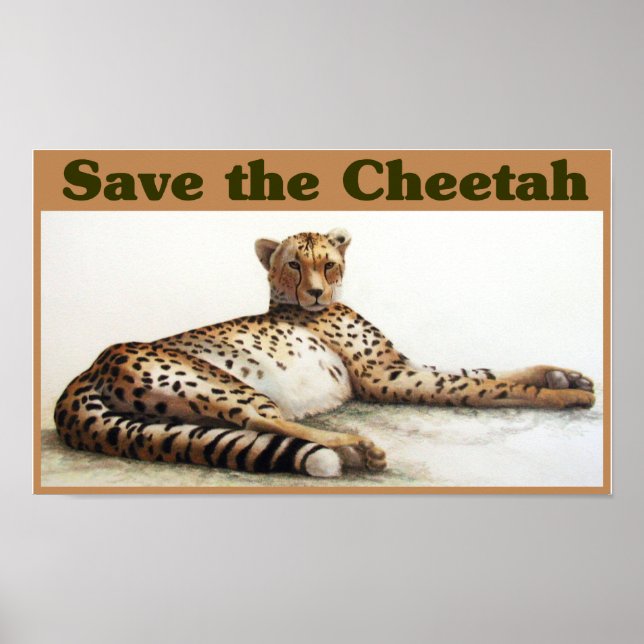 Save the Cheetah Poster (Front)