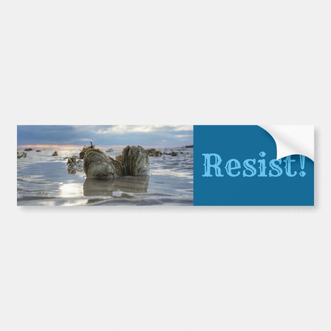 Save the Chesapeake Bay! Bumper Sticker (Front)
