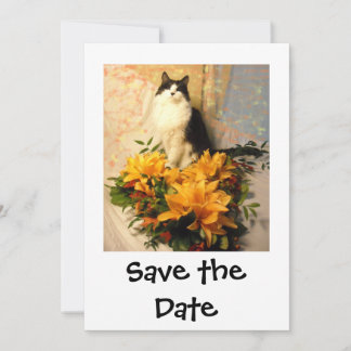 Save the Date