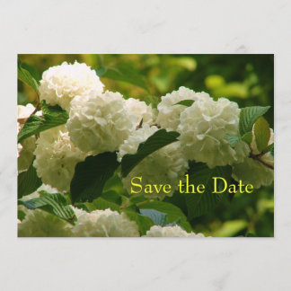 Save the Date