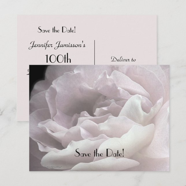 Save the Date 100th Birthday Rose Petals Postcard (Front/Back)