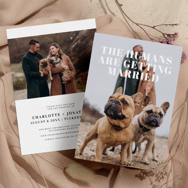 Save The Date 2 Photo Simple Funny Chien Mariage (Créateur téléchargé)