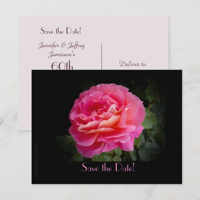 Save the Date 60th Anniversary Party Rose Postcard (Front/Back)