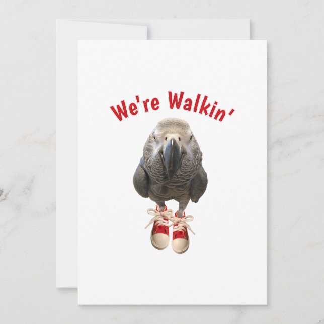 Save The Date african grey parrot walking strishoise tennis (Devant)