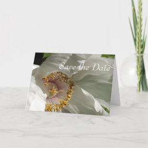 Save the Date Announcement