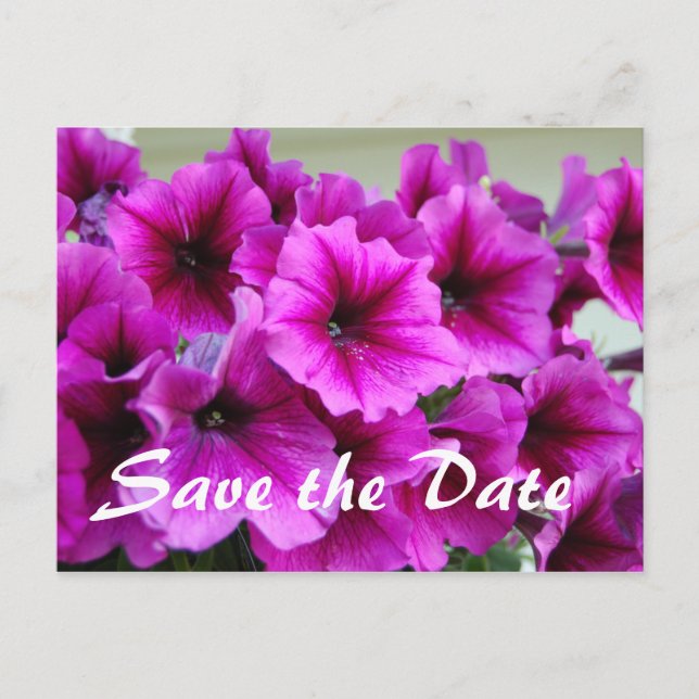 Save the Date Announcement Postcard (Front)
