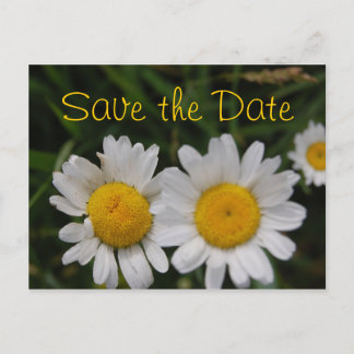 Save the Date Announcement Postcard