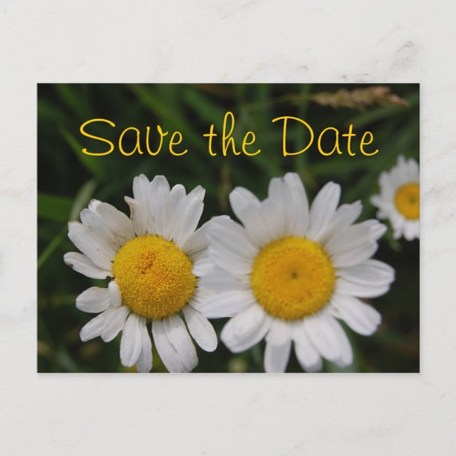 Save the Date Announcement Postcard (Front)