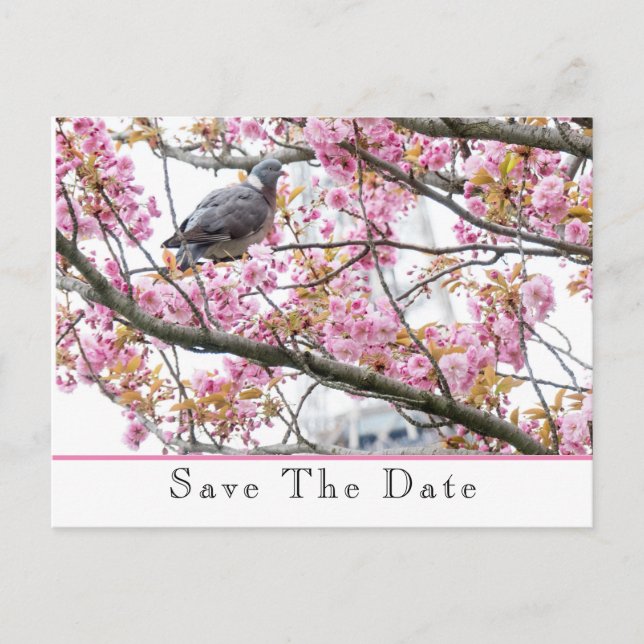 Save The Date Announcement Postcard (Front)