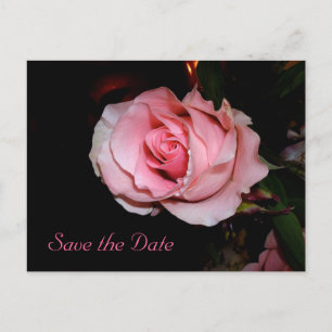 Save the Date Announcement Postcard