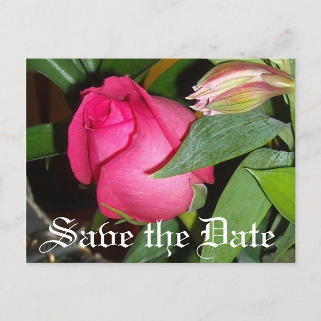 Save the Date Announcement Postcard (Front)