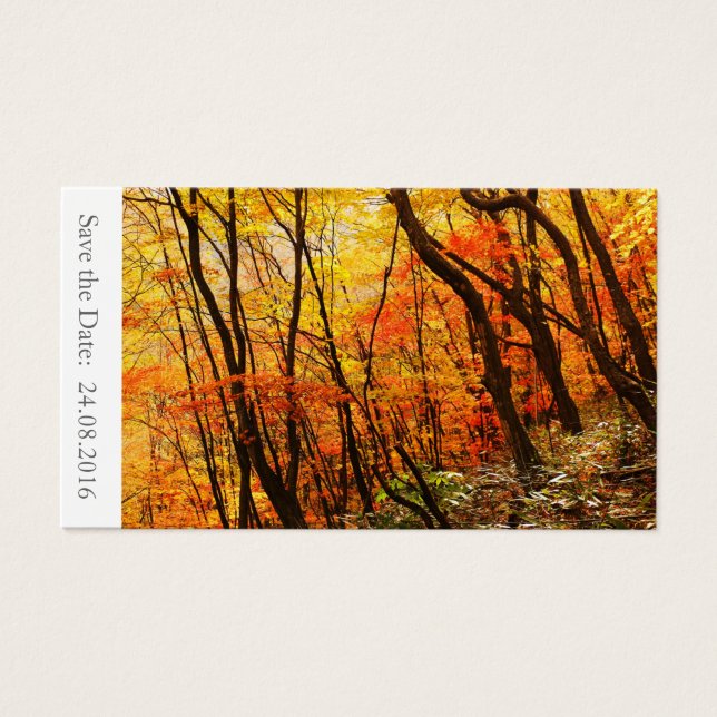 Save the Date Autumn / Fall Wedding 100 Cards (Front)
