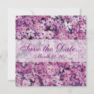 Save The Date Belle Phlox Violet Annonces