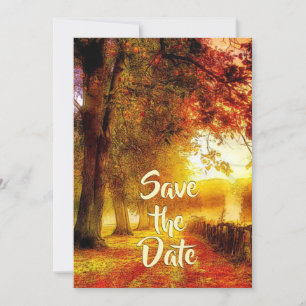 Save The Date Belle voie d'automne arbres automne Mariage chréti