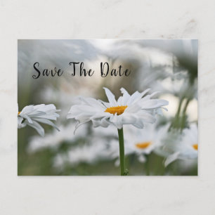 Save The Date Birthday Announcement Postcard