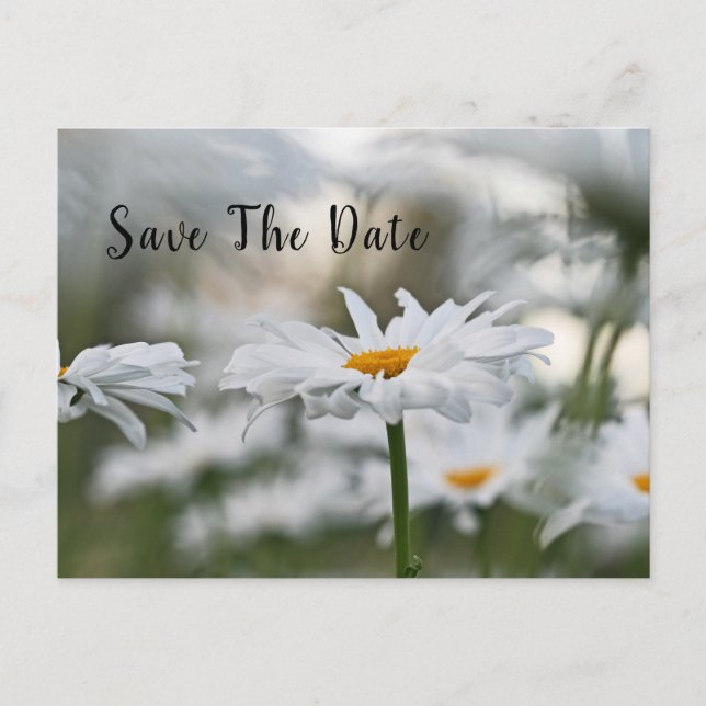 Save The Date Birthday Announcement Postcard (Front)