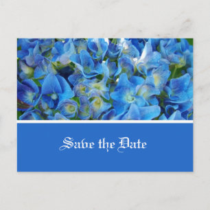save the date, blue hydrangea flowers announcement postcard