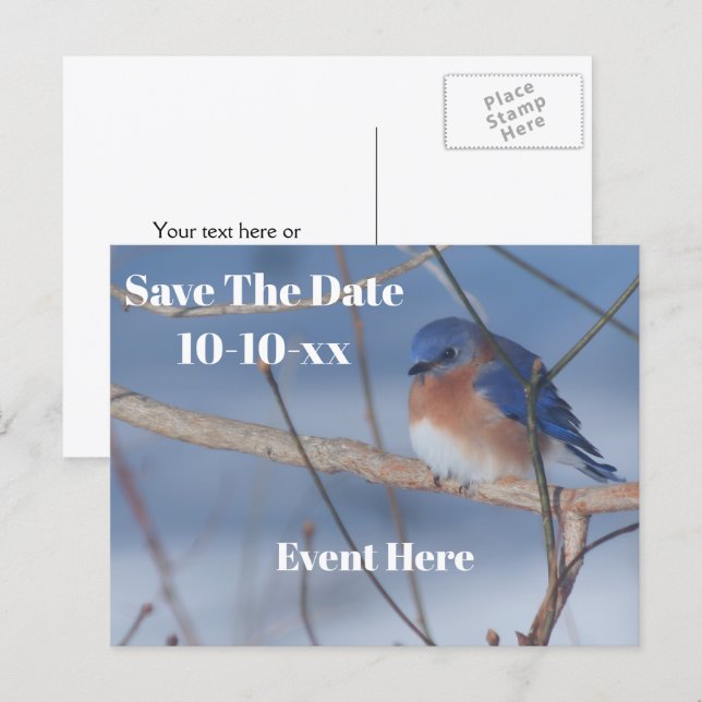 Save The Date Bluebird Nature Personalized Announcement Postcard (Front/Back)