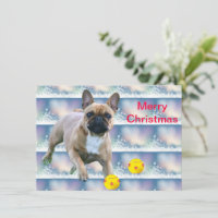 Bouledogue français Noël French Bulldog