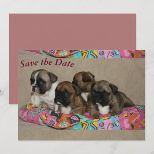 Save The Date Bouvier français anniversaire Bulldog français