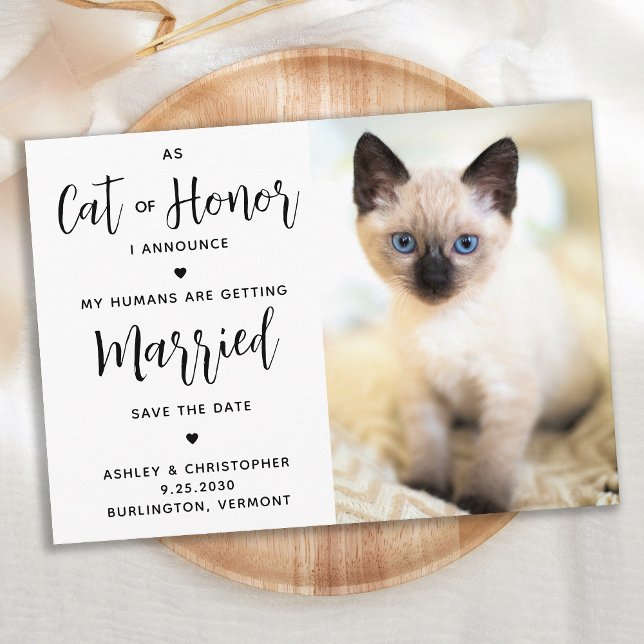 Save The Date Chat D'Honneur (Créateur téléchargé)