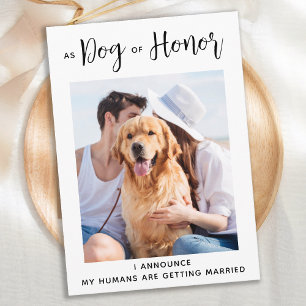 Save The Date Chien d'honneur animal de compagnie Mariage chien