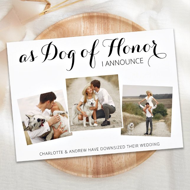 Save The Date Chien D'Honneur Changement De Plans Mariage Faire- (Créateur téléchargé)