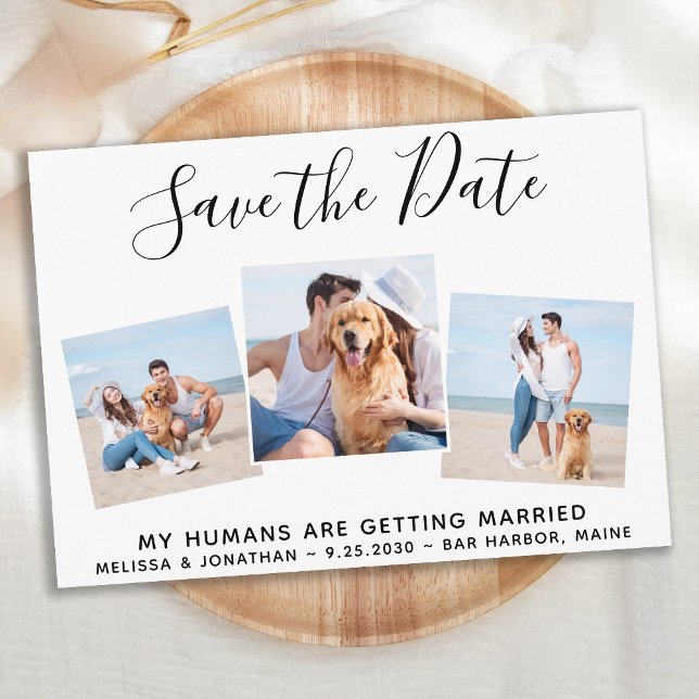 Save The Date Collage photo personnalisé Mariage chien animal de (Créateur téléchargé)