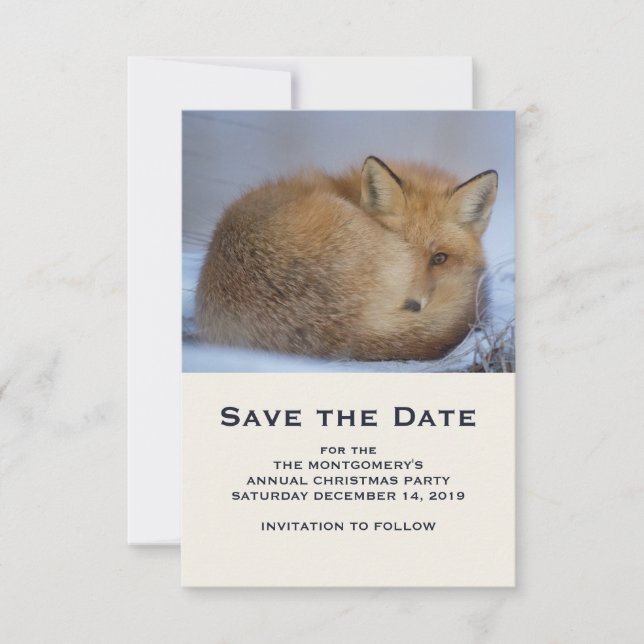 Save The Date Cute Little Fox Curling Up Winter Photo (Devant)