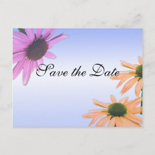 save the date,daisy flowers announcement postcard