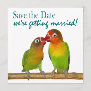 Save The Date Économies tropicales d'inséparables mignons de