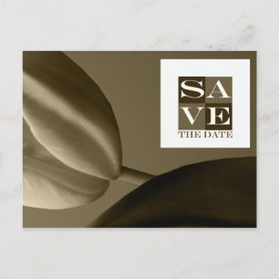 Save The Date Event And Wedding Postcard