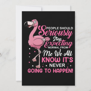 Save The Date Flamingos   People Should Stop Expecting Normal