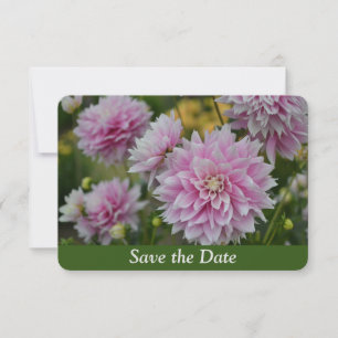 Save The Date Fleurs Dahlia roses au Jardin RHS Anniversaire sur