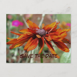 Save The Date Flower Photography Postcard