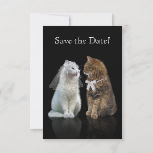Save the Date for Cat Lovers