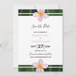 Save The Date Frangipani rose Plumeria Mariage Enregistrer La Da