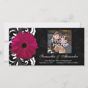 Save The Date Fuchsia Scroll Gerbera Daisy avec noir et blanc