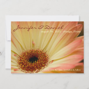 Save The Date Gerbera abricot • Annonce de sauvegarde de la date