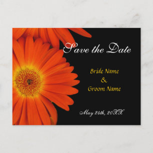 save the date,gerbera daisy announcement postcard