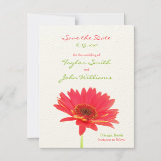 Save The Date Gerbera Daisy Enregistrer la date Annonces