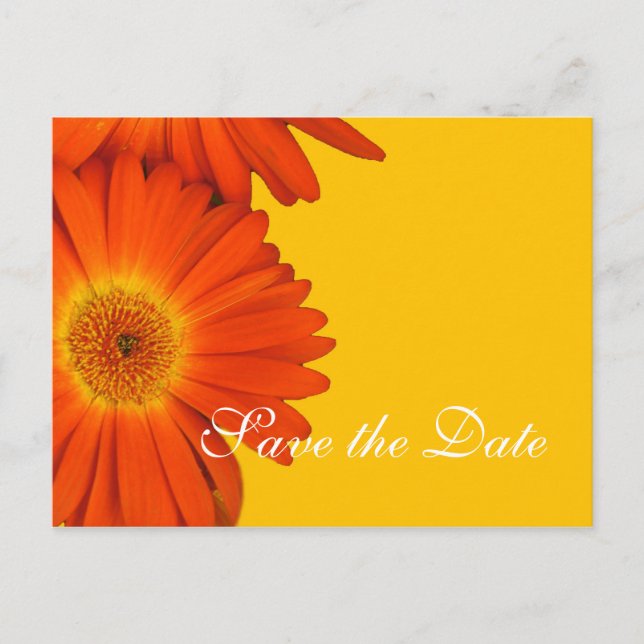 save the date, gerbera daisy flowers announcement postcard (Front)
