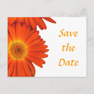 save the date, gerbera daisy flowers announcement postcard