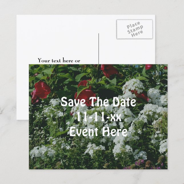 Save The Date Hibiscus Phlox Flower Garden Announcement Postcard (Front/Back)