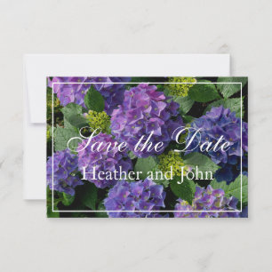 Save The Date Hydrangeas bleu-violet pansy